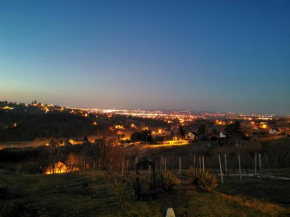 New Vineyards Apartment, Varaždin Breg